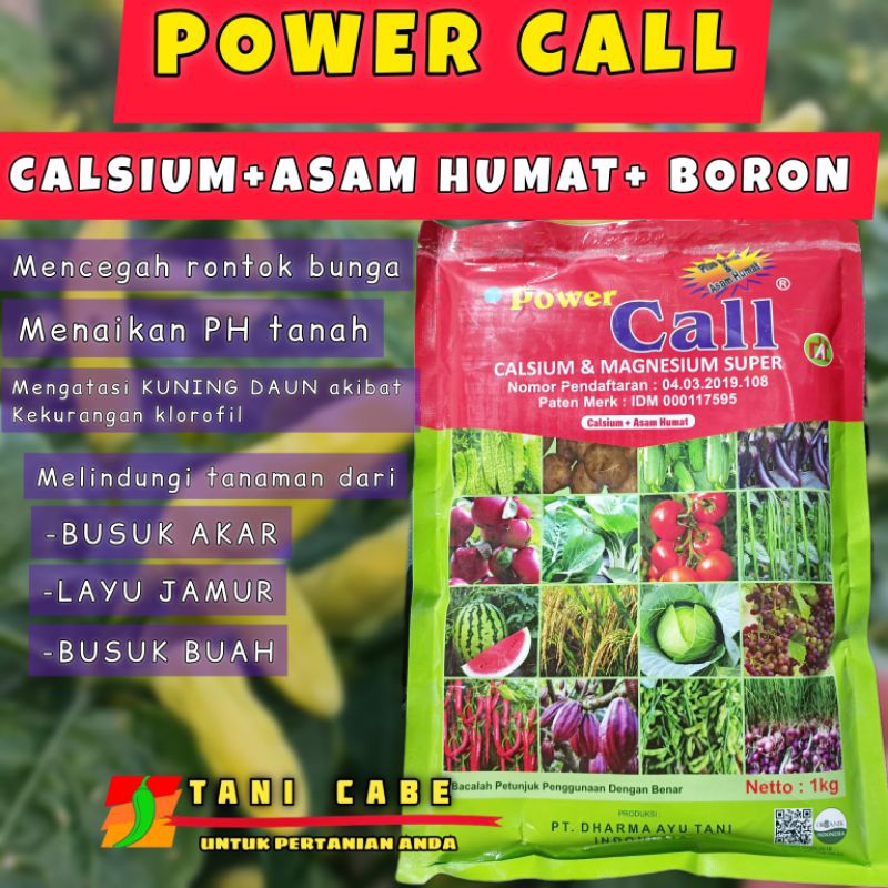 Jual PUPUK KALSIUM ASAM HUMAT POWER CALL TEPUNG PUTIH 1 KG PLUS BORON