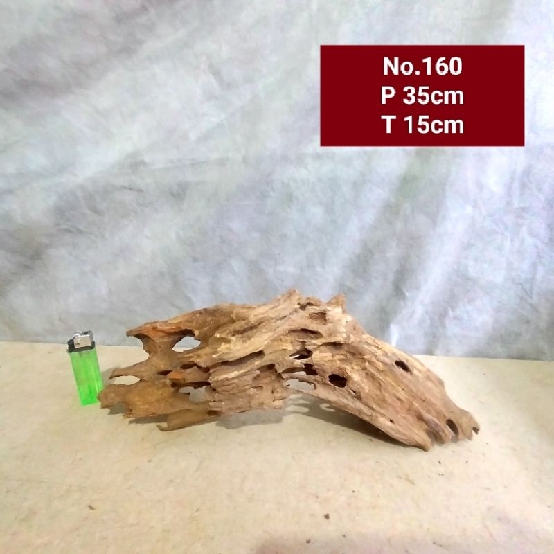 Jual Kayu Rentek Aquascape Aquarium Akb 160 Kayu Rentek Gunung Shopee