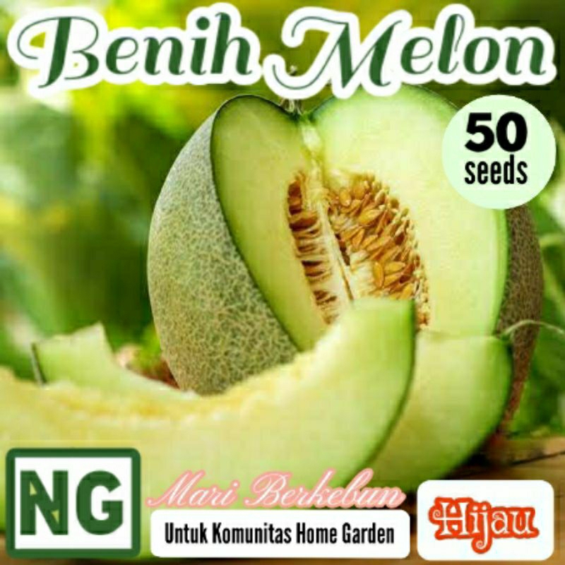 Jual 50 Benih Biji Buah Melon Hijau Kemasan Alumunium Foils Shopee