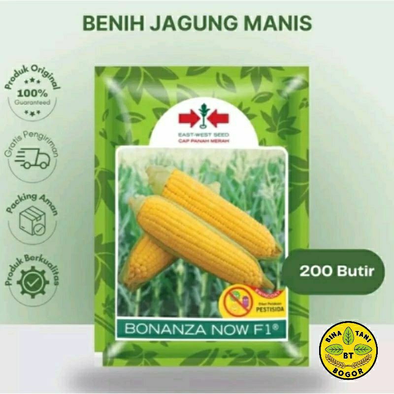 Jual Benih Jagung Manis BONANZA NOW F1 Bibit Unggul Cap Panah Merah Isi