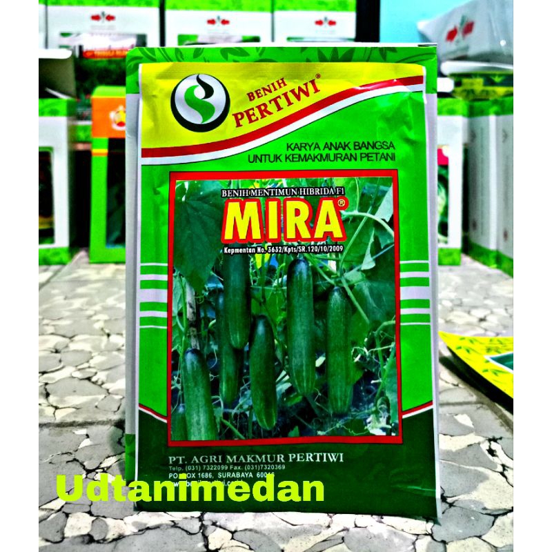 Jual Benih Timun Hibrida Mira Isi 25 Gram Shopee Indonesia