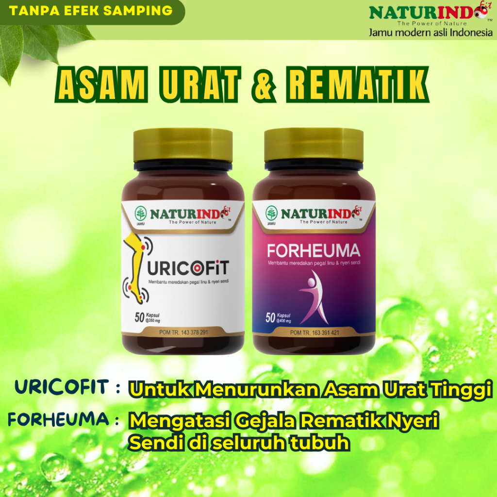 Jual Obat Asam Urat Dan Kolesterol Radang Nyeri Sendi Herbal Paling