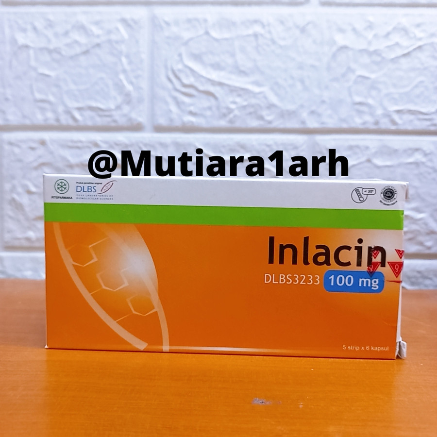 Jual Inlacin Mg Isi Tab Shopee Indonesia