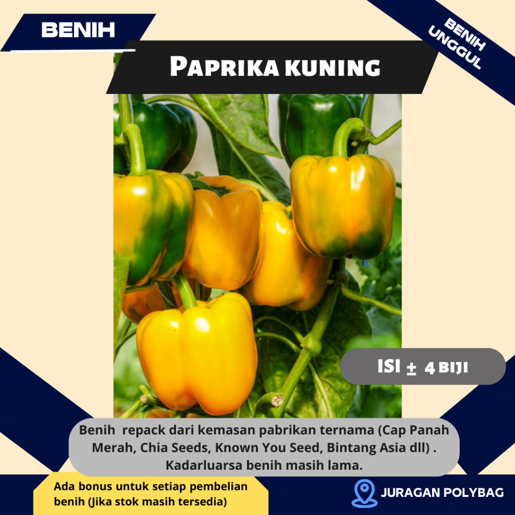 Jual 4 Biji Benih Paprika Kuning GOLDEN STAR F1 Dari Known You Seed