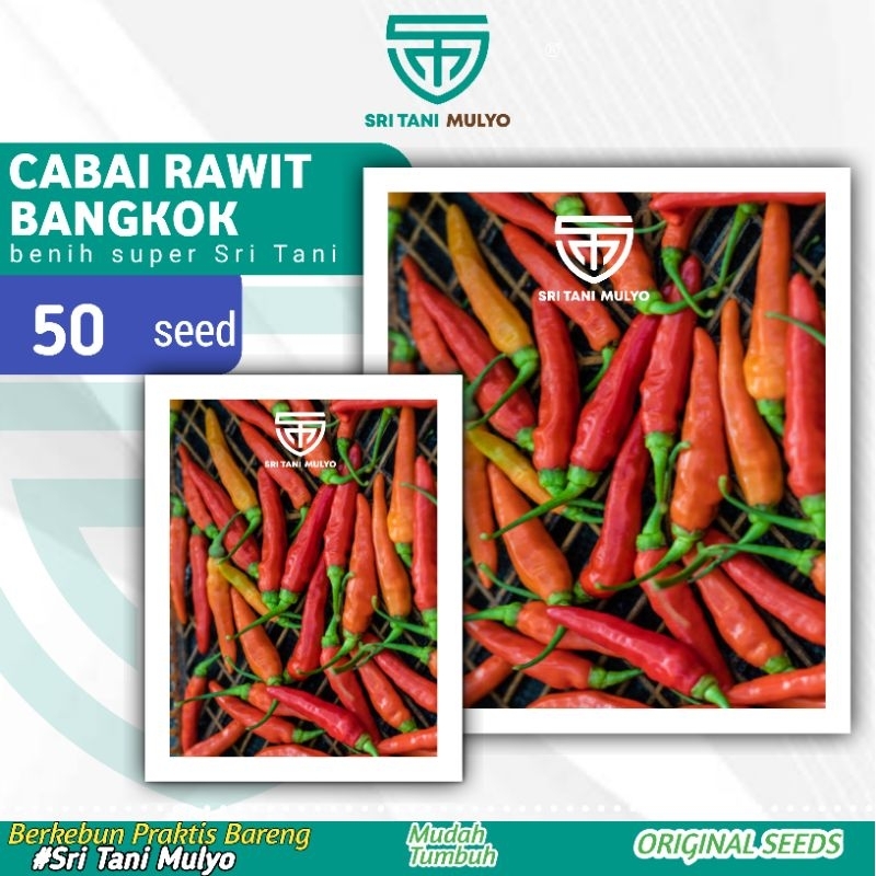 Jual Cod Benih Biji Bibit Cabe Rawit Bangkok Bibit Sayur Sayuran