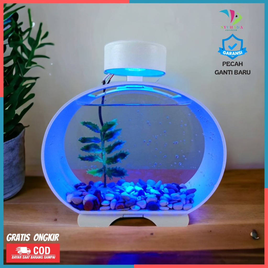 Jual Aquarium Akuarium Mini Soliter Ikan Cupang Ikan Hias Plus Batu