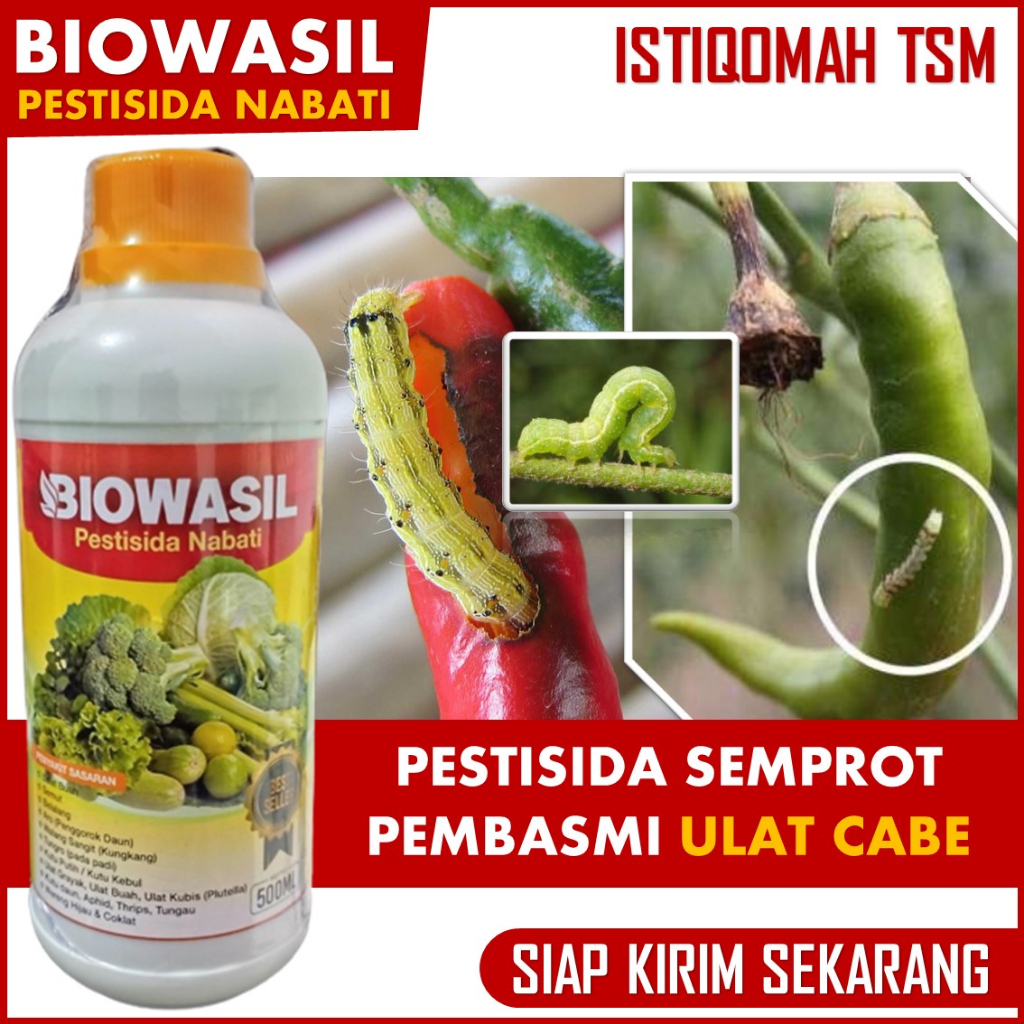 Jual REKOMENDED Pestisida Semprot Pembasmi Ulat Cabe Cabi Terbaik