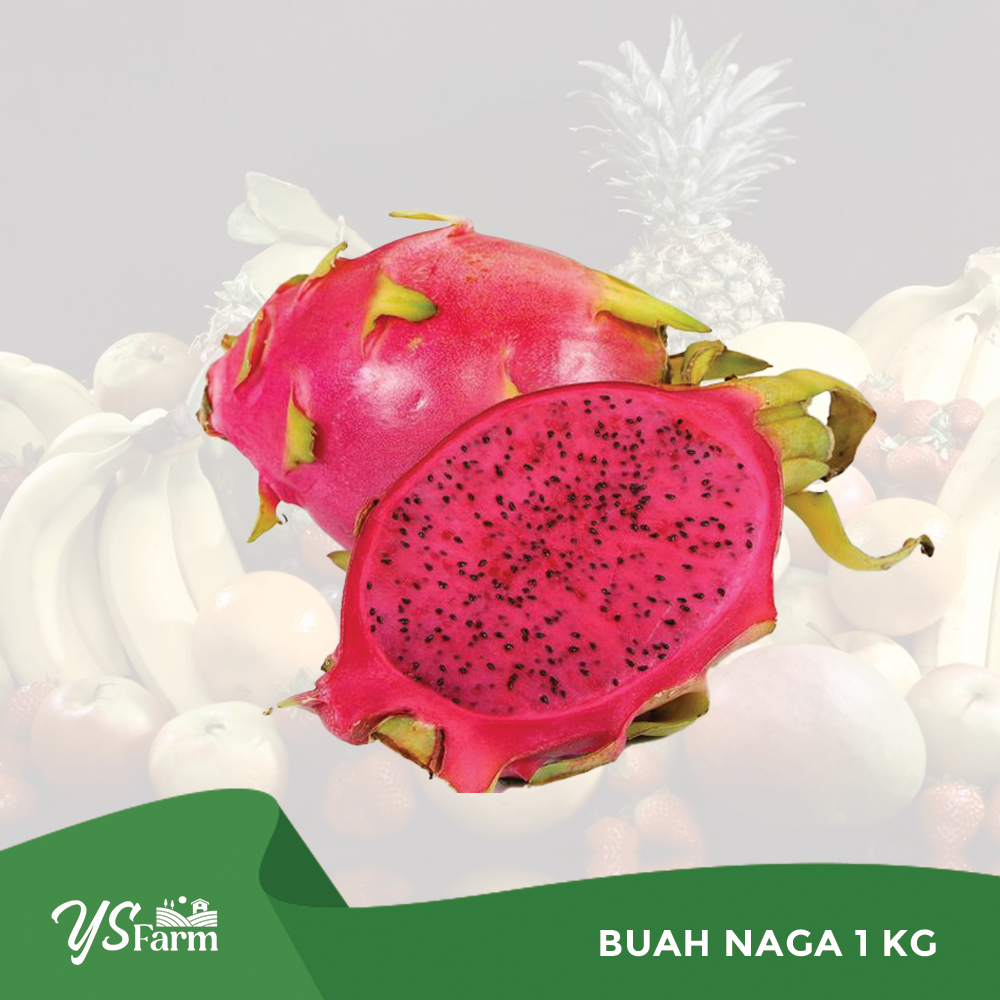 Jual Buah Naga Merah Kg Shopee Indonesia