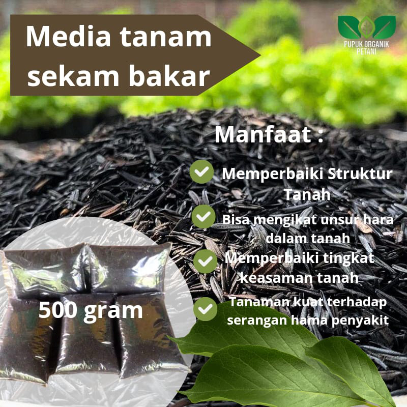 Jual Media Tanam Organik Sekam Bakar Siap Pakai Komposisi Tanah Subur