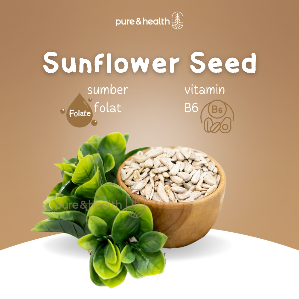 Jual Sunflower Seed Kg Kuaci Biji Bunga Matahari Kupas Natural Super