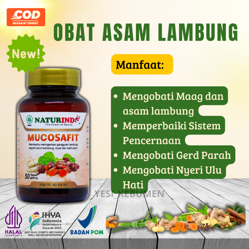 Jual Obat Herbal Asam Lambung Ampuh Atasi Sakit Maag Sakit Pada Ulu