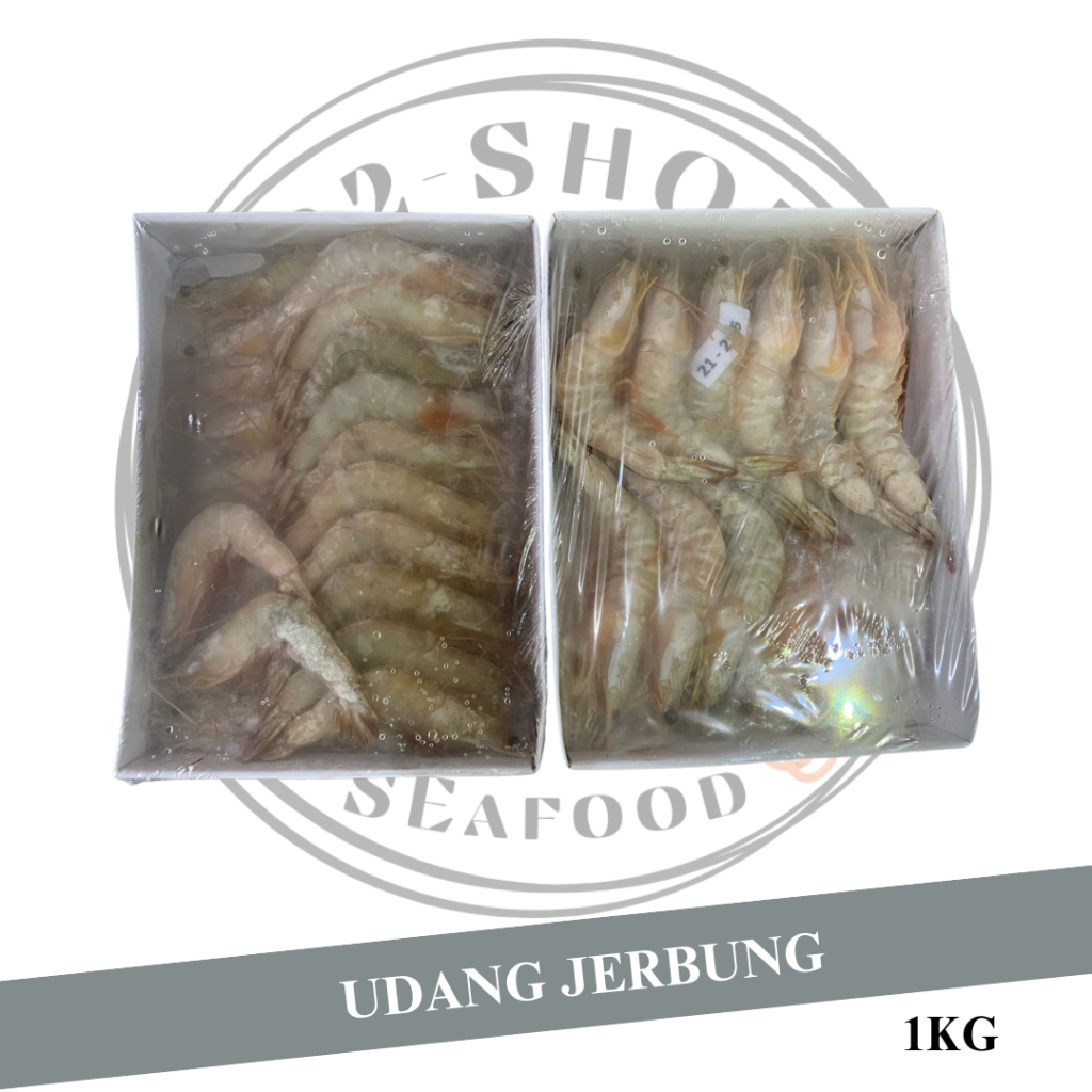 Jual Udang Jerbung Laut Fresh Segar Frozen Udang Laut 1 KG Shopee