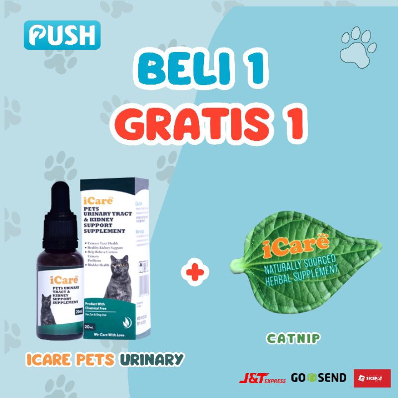 Jual Obat Susah Pipis Promo ICare Urinary Tract Suplement Kucing Dan