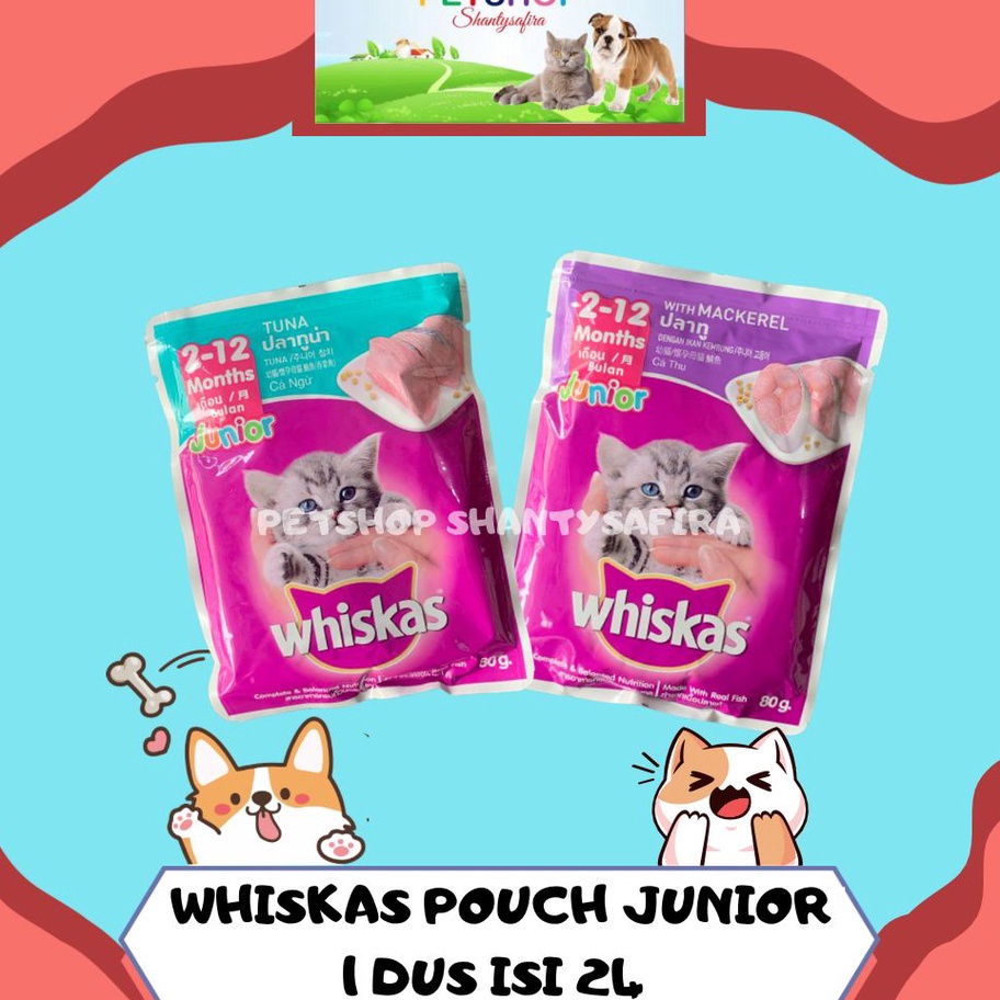 Jual Ylfd Terbaru Makanan Kucing Whiskas Junior Pouch Gr