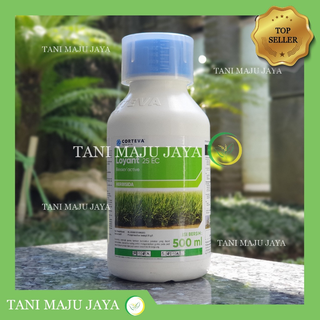 Jual Herbisida Loyant Ec Ml Pembasmi Gulma Rumput Liar Padi