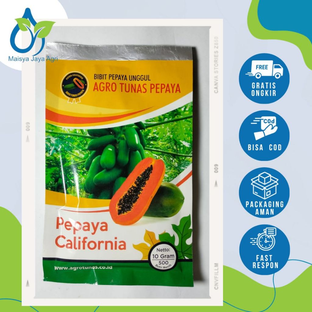 Jual BENIH PEPAYA CALIFORNIA 25 50 100 DAN 200 BIJI KEMASAN REPACK