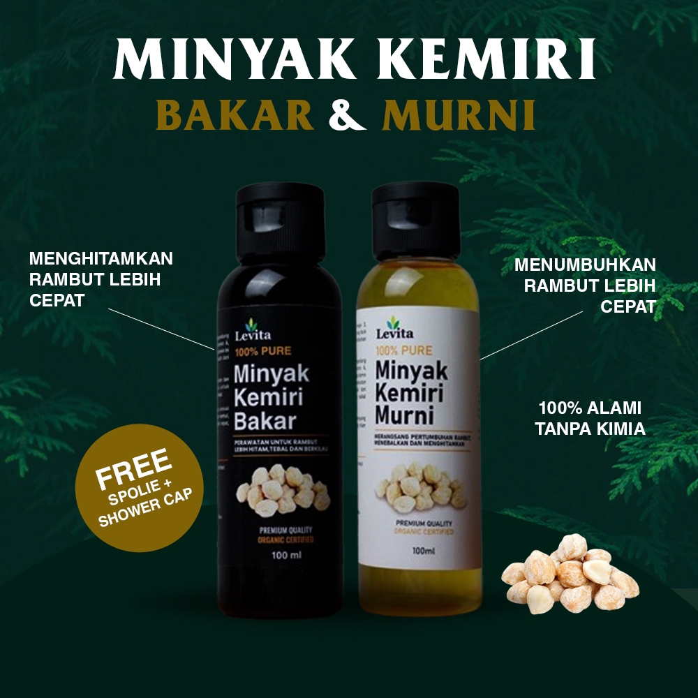 Jual Minyak Kemiri Murni Dan Bakar Levita Minyak Kemiri Asli Penumbuh