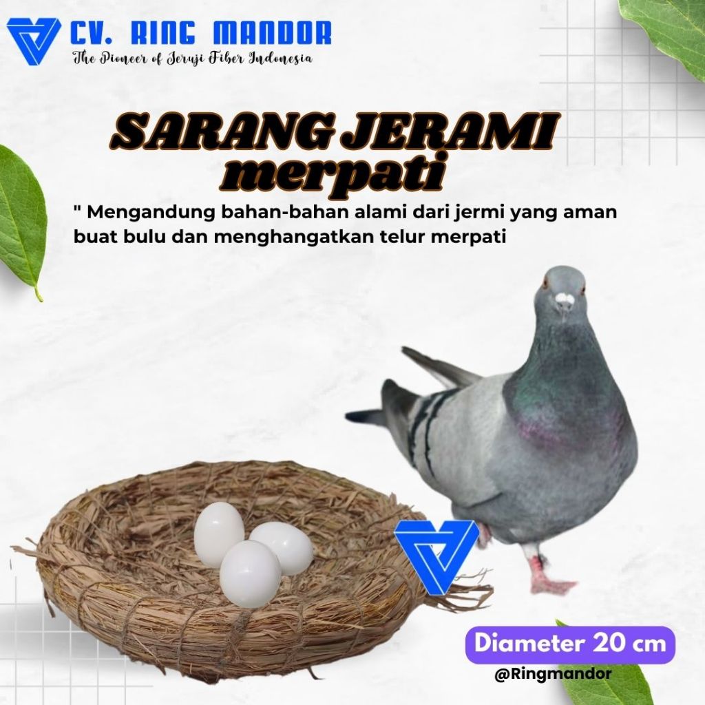 Jual Sarang Jerami Bertelur Merpati Sarangan Burung Tarangan Burung