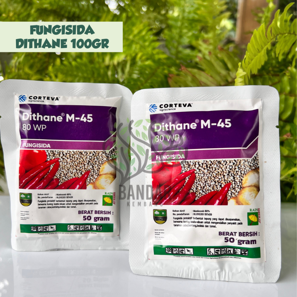 Jual Fungisida Kontak DITHANE M 45 80WP 100 Gram Mankozeb Shopee