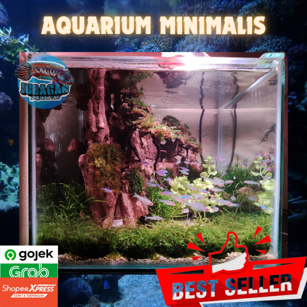 Jual Aquarium Minimalis Fullset Aquarium Aquascape Minimalis Fullset