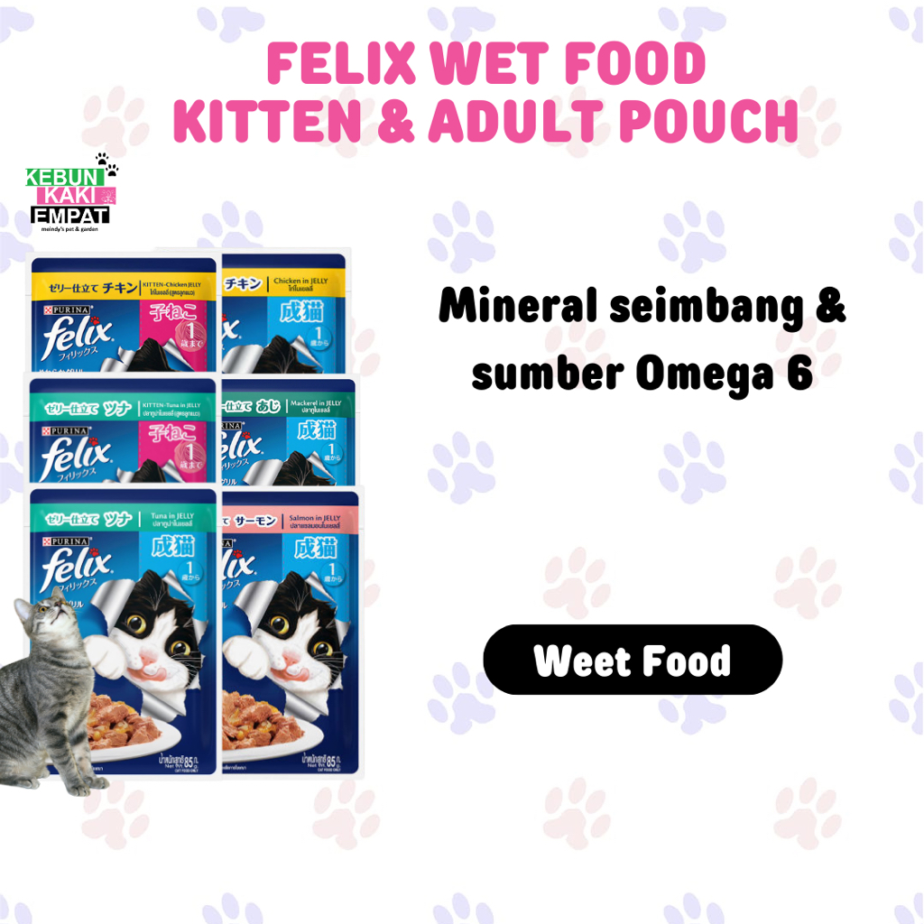 Jual Felix Wet Food Kitten Adult Gr Makanan Basah Kucing Shopee