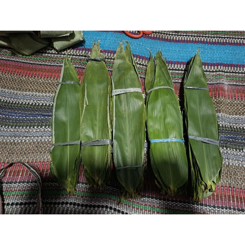 Jual Daun Bambu 100 Lembar Untuk Bakcang Bacang Kwecang Shopee