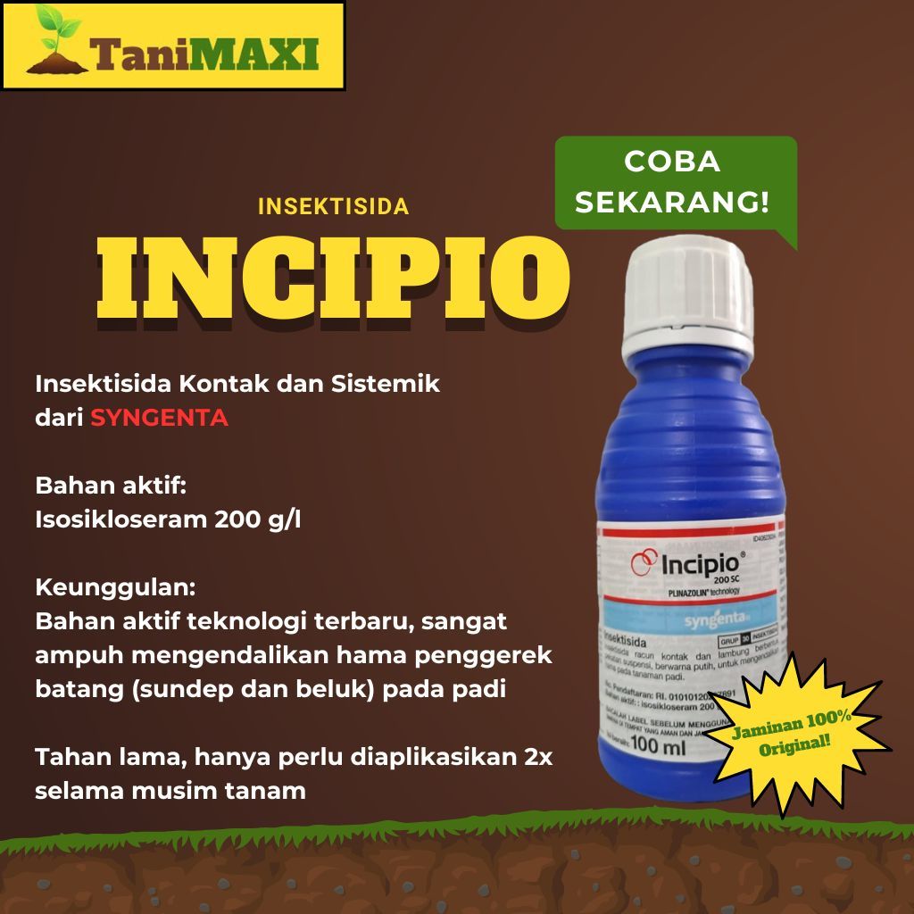 Jual Insektisida Incipio Sc Syngenta Indonesia Obat Racun Tanaman