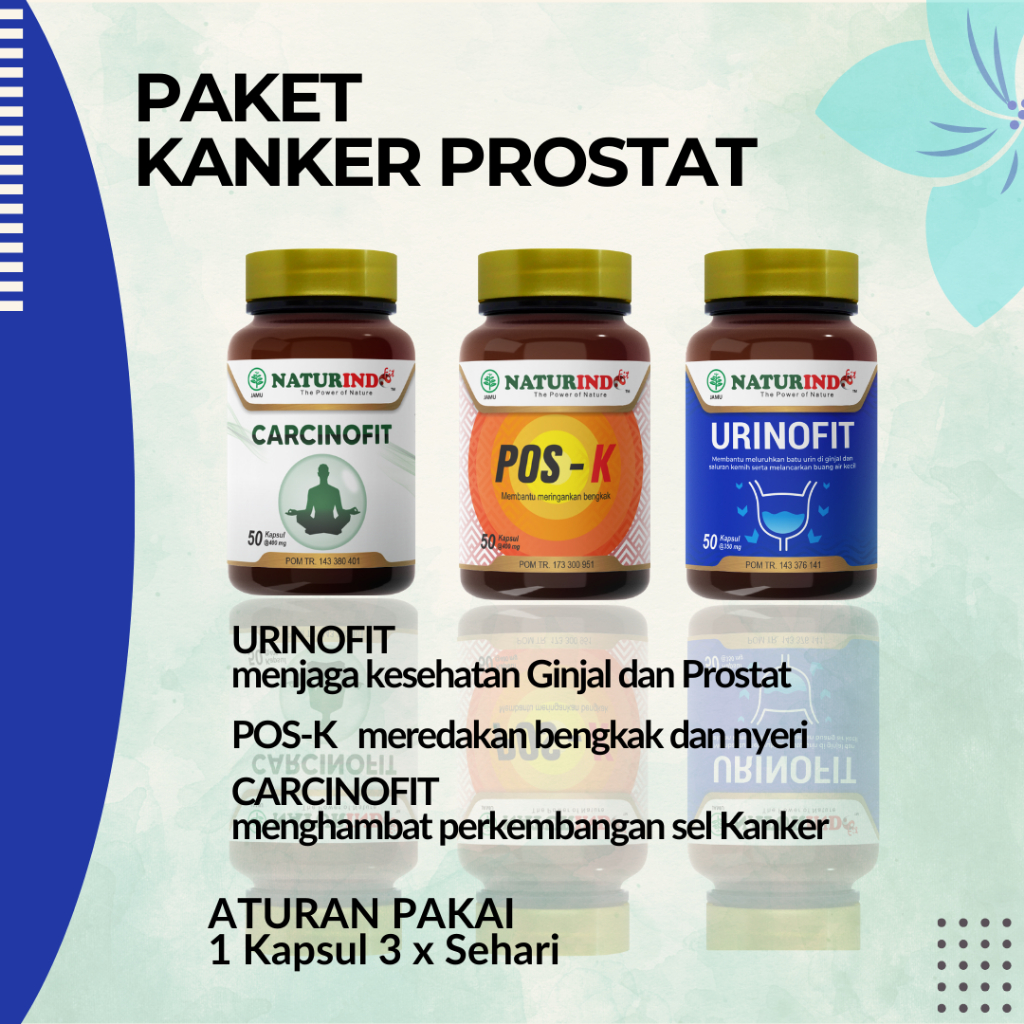 Jual Obat Prostat Herbal Tanpa Operasi Infeksi Saluran Kemih Kanker