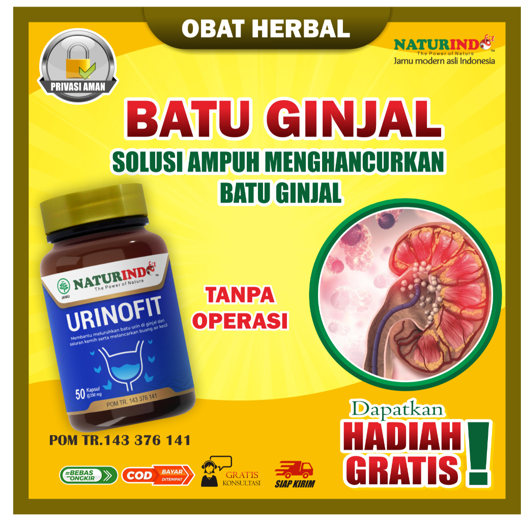 Jual Obat Batu Ginjal Kencing Batu Infeksi Saluran Kemih Herbal Ginjal