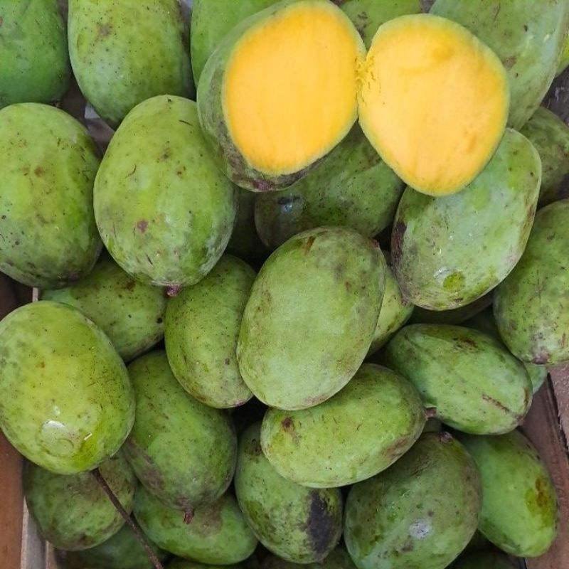 Jual Mangga Kweni Kg Shopee Indonesia