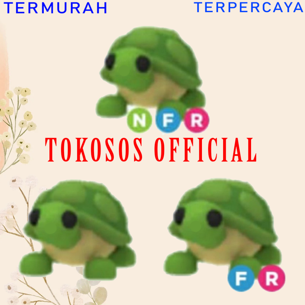 Jual Normal Fr Nfr Turtle Adopt Me Roblox Shopee Indonesia