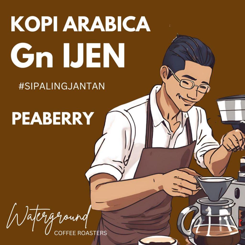 Jual Waterground Coffee Gr Kopi Arabika Ijen Raung Peaberry Jawa