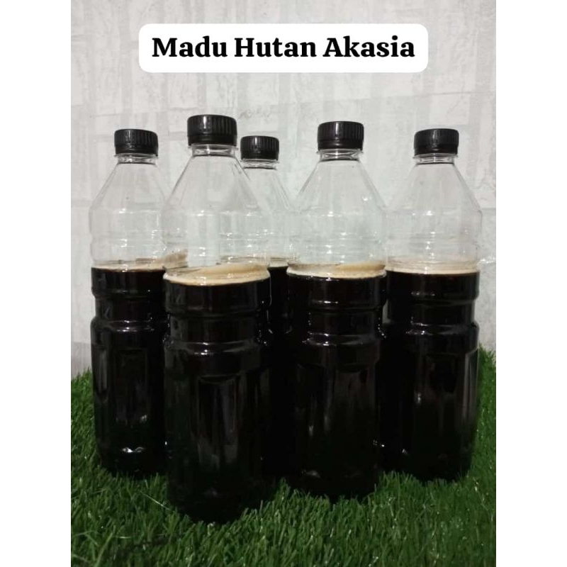 Jual Madu Hutan Akasia Kemasan Kg Raw Honey Madu Mentah Asli Murni