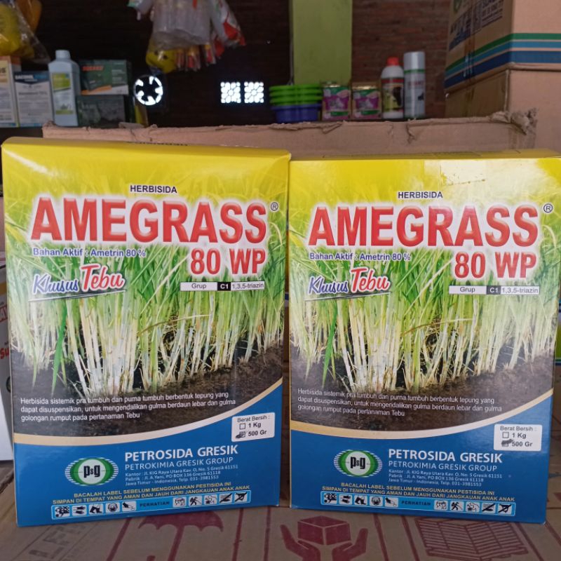 Jual Amegrass Wp Kemasan G Herbisida Sistemik Selektif Pra Tumbuh