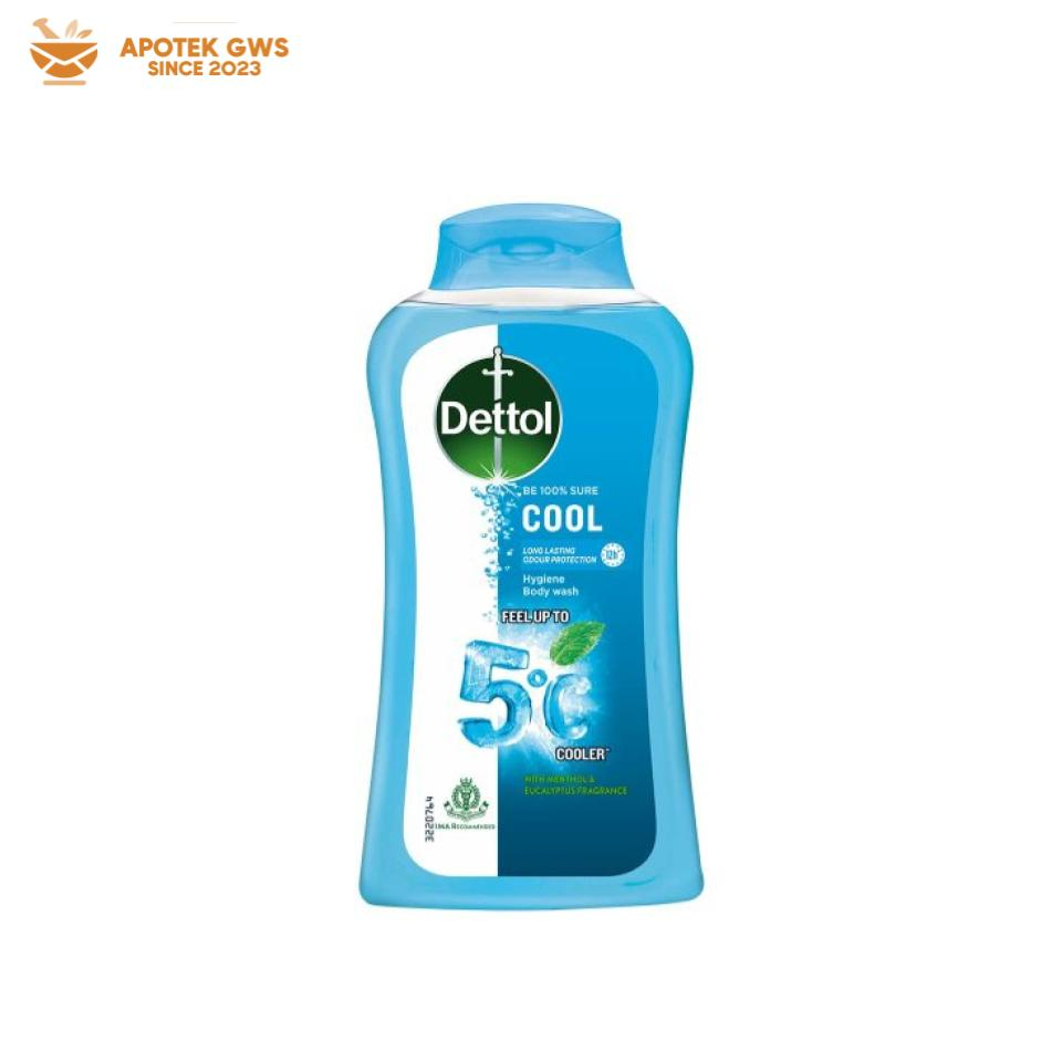 Jual Dettol Body Wash Bottle Cool Shopee Indonesia