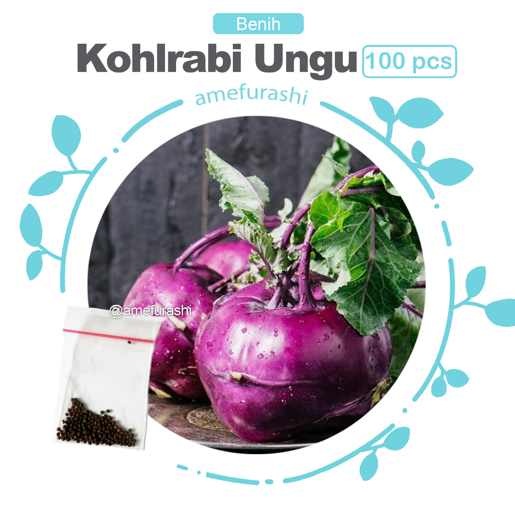 Jual Amefurashi 20 Benih Bibit Biji Sayur Ketumbar Bumbu Masak Grow