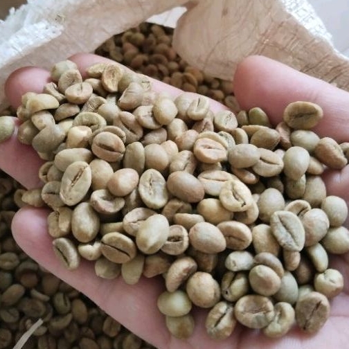 Jual 1Kg Green Beans Robusta Dampit Biji Kopi Shopee Indonesia