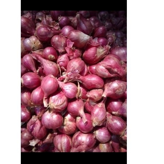 Jual Bawang Merah Probolinggo 1kg Shopee Indonesia