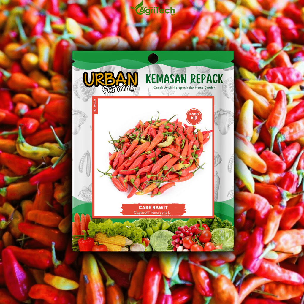 Jual BENIH BIBIT CABE CABAI RAWIT UNGGUL ISI 400 BIJI KEMASAN REPACK