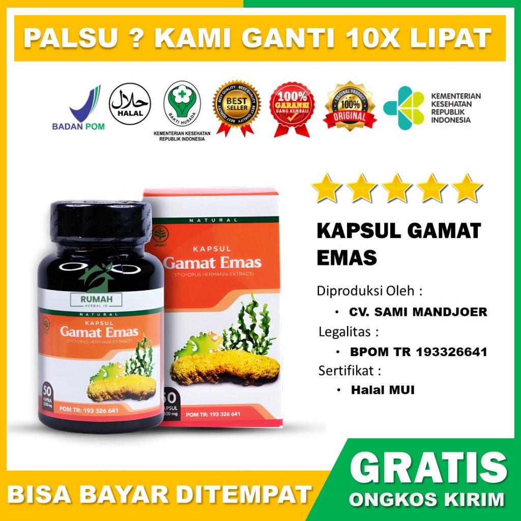 Jual Kapsul Gamat Emas Premium Isi Kapsul Asli Shopee Indonesia