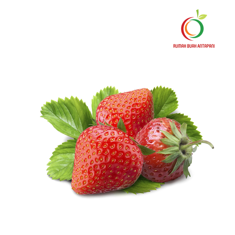 Jual Stroberi Strawberry Segar 500 Gram Shopee Indonesia