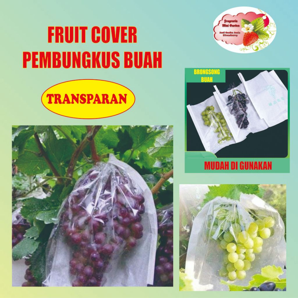 Jual FRUIT COVER BRONGSONG BUAH TRANSPARAN Shopee Indonesia