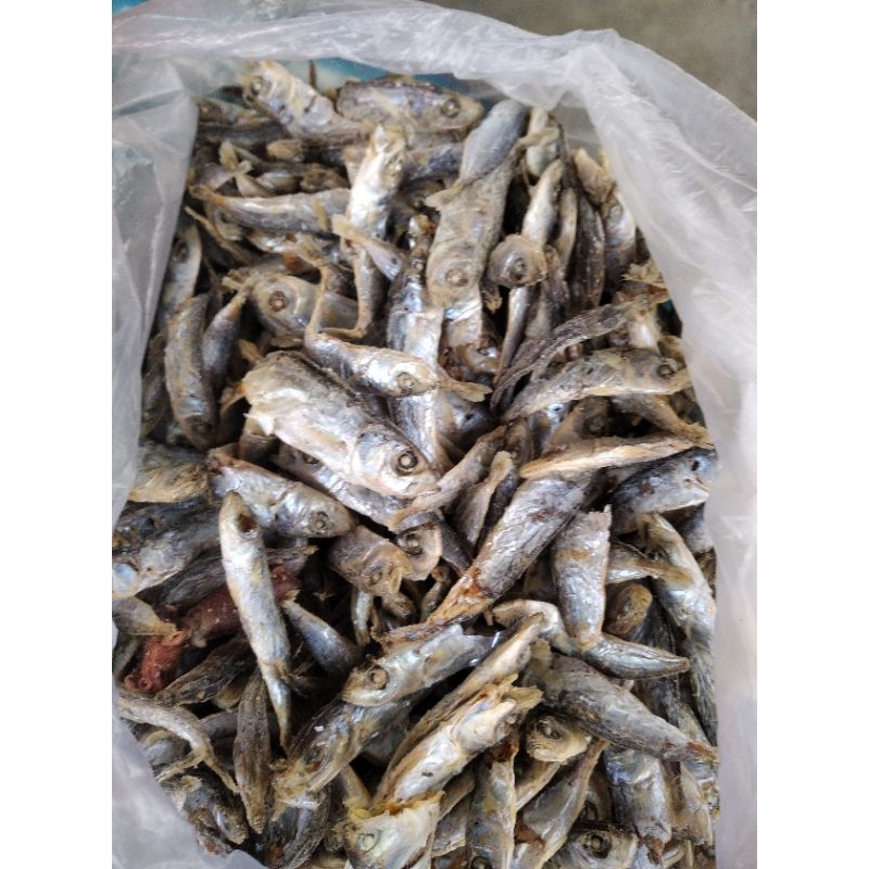 Jual Ikan Kering Berbagai Jenis Ikan Baledang Kering Ikan Tete Kering