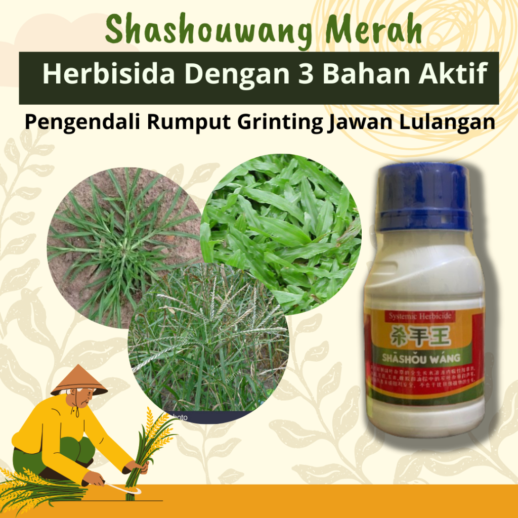 Jual Shashouwang Merah Pembasmi Rumput Liar Herbisida Sistemik Selektif