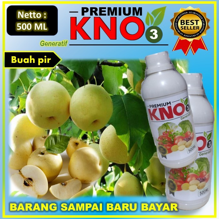 Jual New Order Pupuk Pelebat Premium Kno Generatif Ml Tanaman Pir