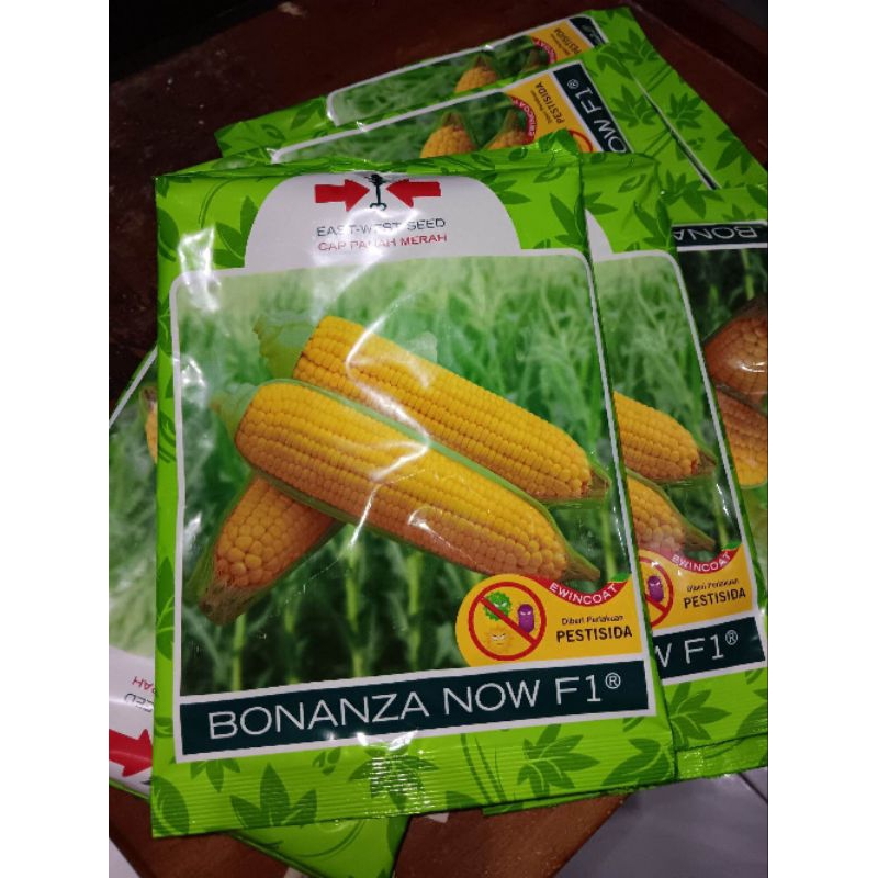 Jual Benih Jagung Manis Bonanza Now F Btr Kadaluarsa September