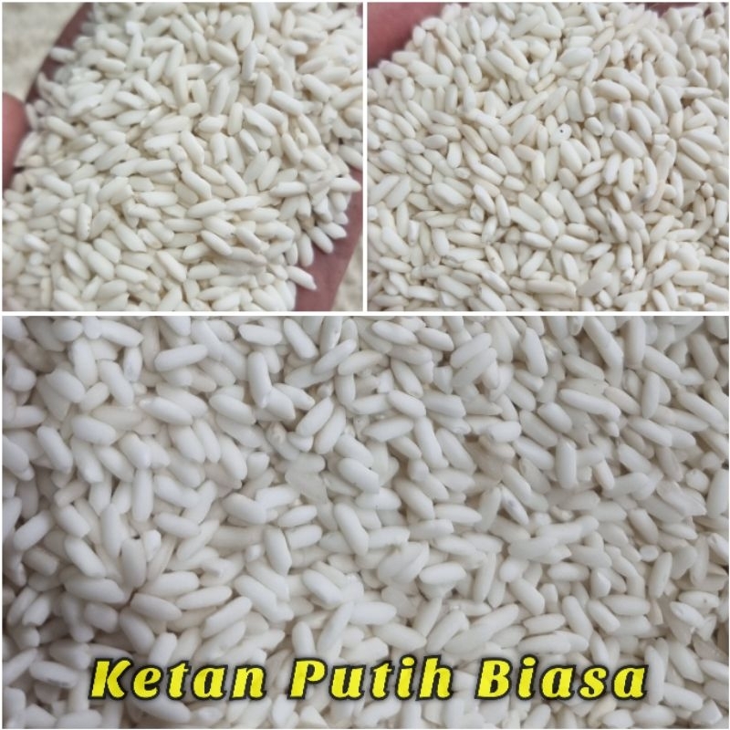 Jual Ketan Putih Kg Beras Ketan Original Bambu Wangi Shopee