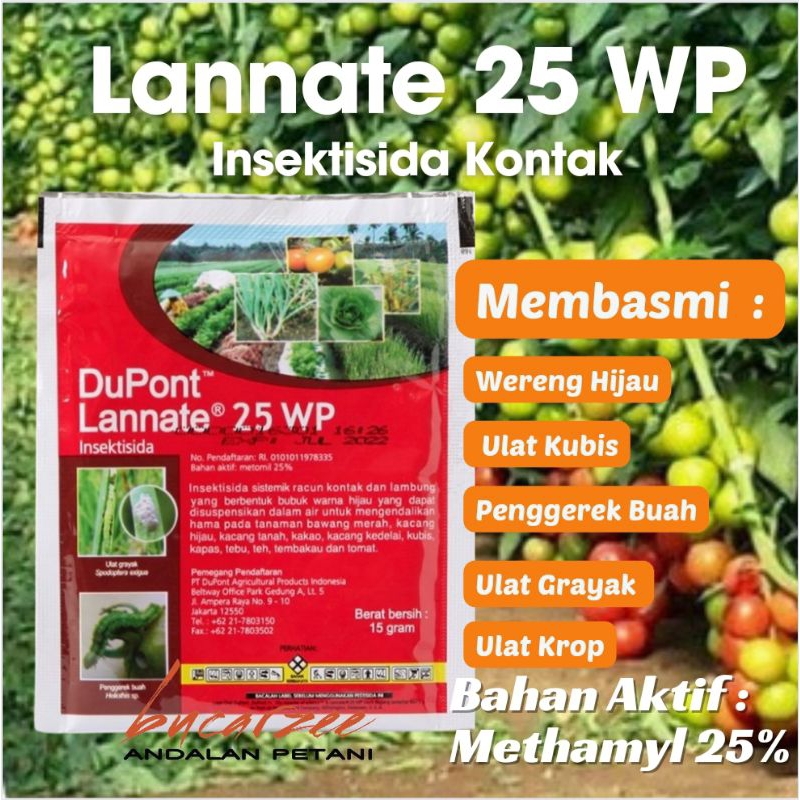 Jual Lannate Wp Merah Insektisida Kontak Membasmi Ulat Penggerek