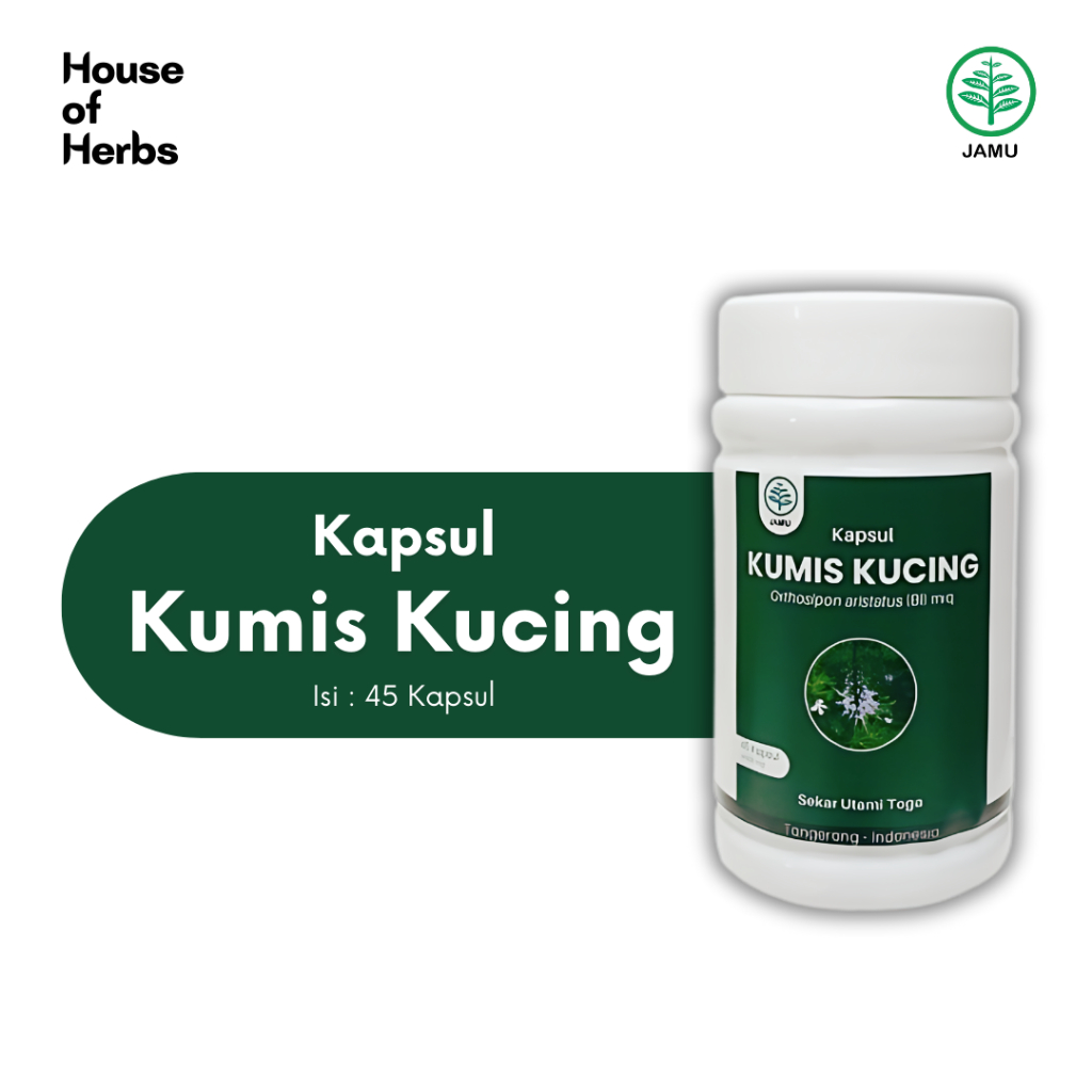 Jual Kapsul Kumis Kucing Herbal Untuk Mengatasi Infeksi Saluran Kemih