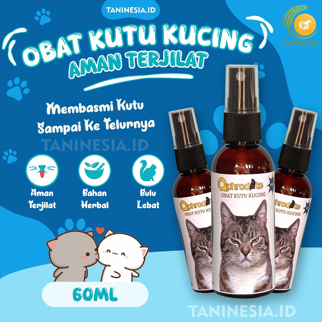 Jual OBAT KUTU KUCING AMPUH DAN TELUR KUTU SPRAY AMAN DIJILAT CAIRAN